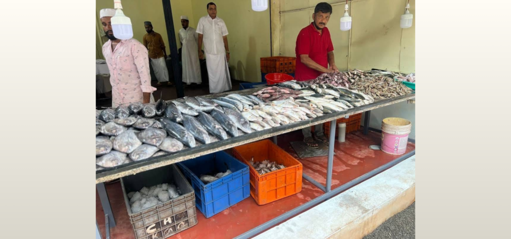 Untitled (404 x 333 px) (500 x 333 px) (1920 x 900 px) (1)