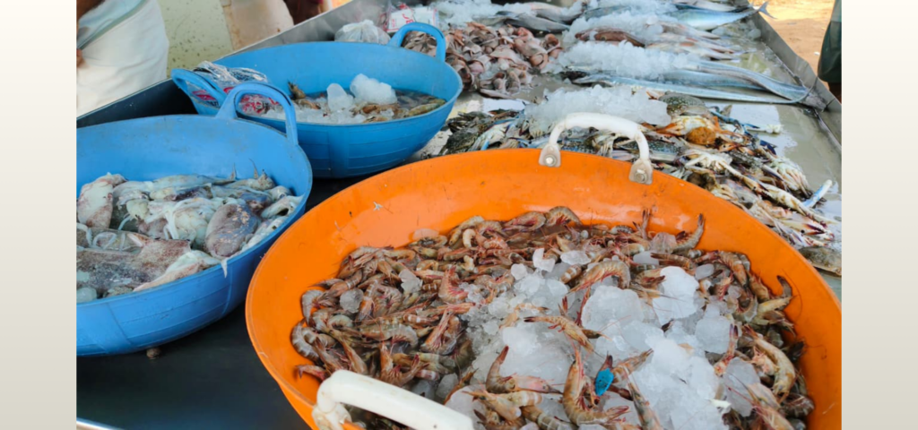 Untitled (404 x 333 px) (500 x 333 px) (1920 x 900 px) (2)