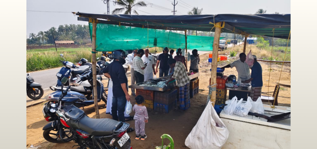 Untitled (404 x 333 px) (500 x 333 px) (1920 x 900 px) (3)