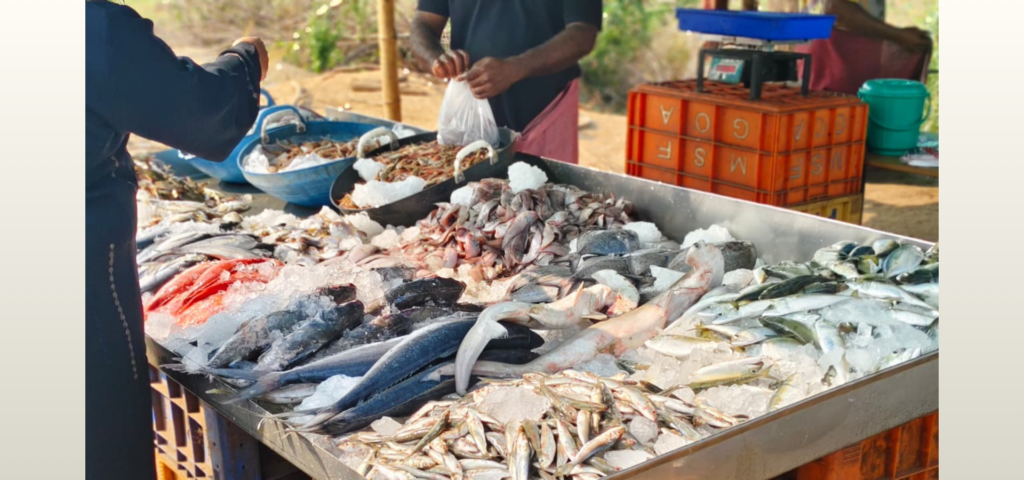 Untitled (404 x 333 px) (500 x 333 px) (1920 x 900 px) (5)