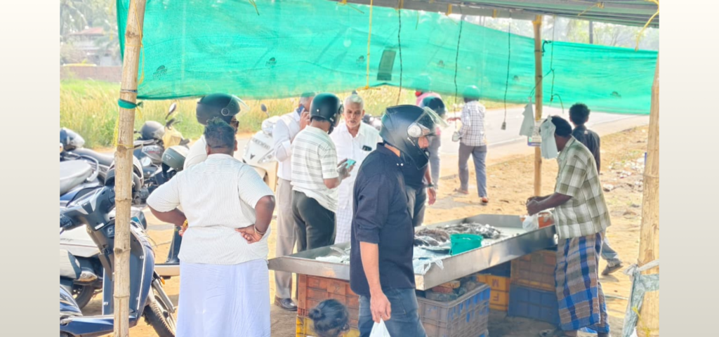 Untitled (404 x 333 px) (500 x 333 px) (1920 x 900 px) (8)